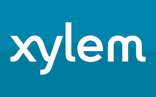 xylem